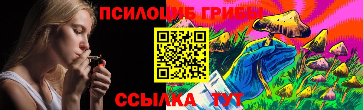 Галлюциногенные грибы MAGIC MUSHROOMS  Вход с VPN  Ишим 
